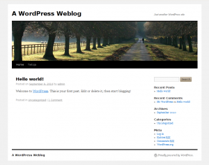 WordPress-nettisivut 1